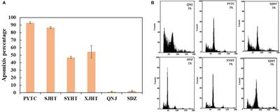 Apomictic Malus plants exhibit abnormal pollen development